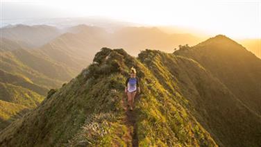 Image for: TRAM RIDE